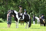 WJ7_1417