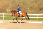 SBM_003449