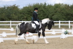 SBM_002174