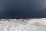 Winter 25