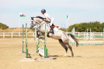 SBM_003317
