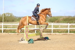 SBM_002990