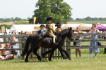 SBM_05164