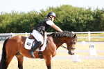 SBM_008336