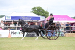 SBM_05933
