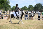 WJ6_5434