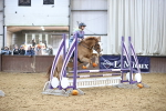 SBM_002057
