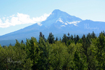 Mt Hood in the Fall