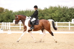 SBM_008750