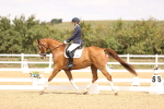 SBM_013793