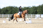 SBM_016079