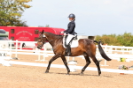 SBM_02595