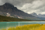 Waterfowl Lake 3