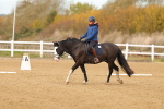 SBM_000655