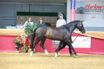 SBM_02272