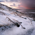 Ice sculptures1