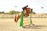 SBM_007527