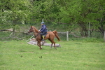 WJ6_3221