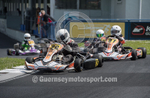 Kart_Inter Island 2016-117