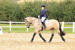SBM_002995