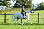SBM_56399
