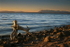 Yellowstone Lake
