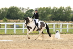 SBM_001053