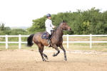 SBM_004097