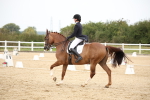 SBM_020224