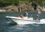 060616 OKEFENOKE IMG_9219
