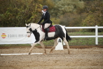 SBM_001164