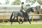 SBM_62583