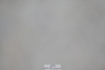 230721A-093111-04963