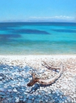 driftwood