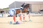 SBM_004082