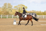 SBM_002696