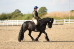 SBM_06856