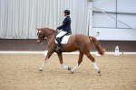 SBM_001338