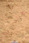 230610A-154124-04091