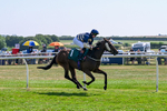 150726-Race 3-Lady Dublin-3213