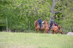 WJ6_2002