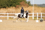 SBM_016741
