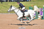 Saturday 20th - Click to Enter portfolio