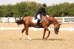 SBM_006482