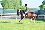SBM_11512