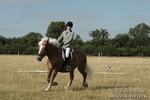 Dressage Classes BVRC Show 2018 portfolio
