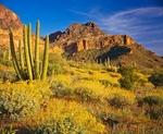 Istock #18926023