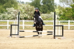 SBM_008099