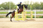 SBM_009321