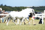 DSC07547